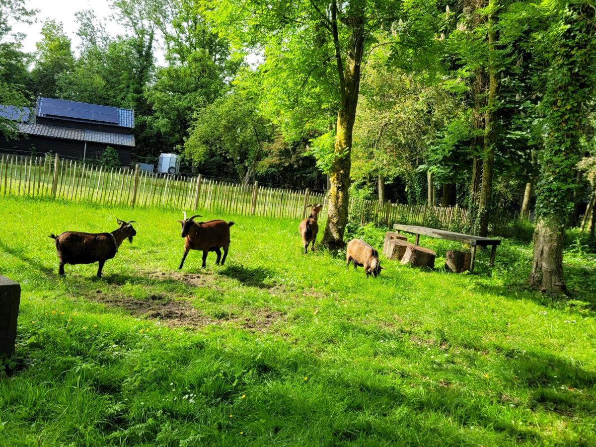 Bed and Breakfast Pastorie Waaxens Exteriér fotografie